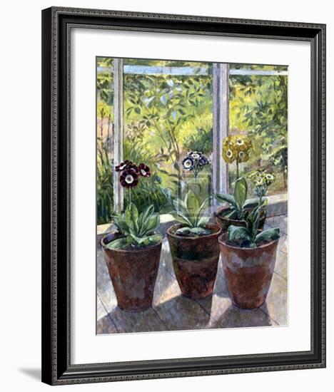 Four Pots of Auriculas-J Morley-Framed Art Print