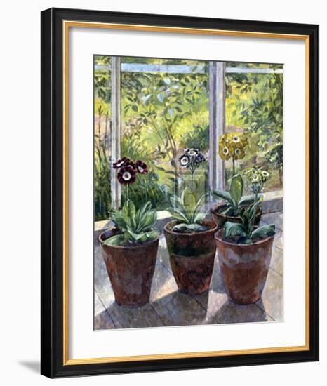 Four Pots of Auriculas-J Morley-Framed Art Print