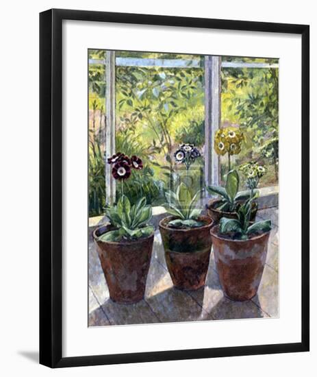 Four Pots of Auriculas-J Morley-Framed Art Print