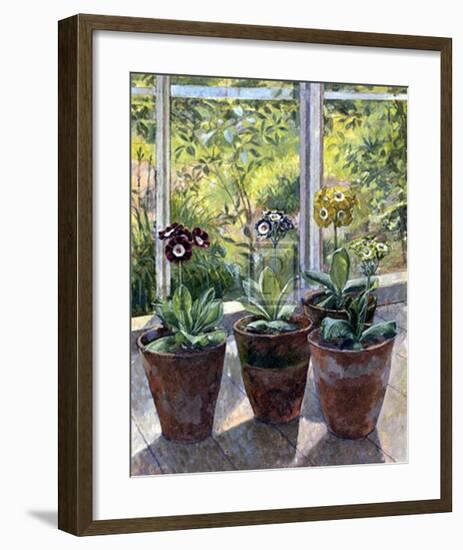 Four Pots of Auriculas-J Morley-Framed Art Print