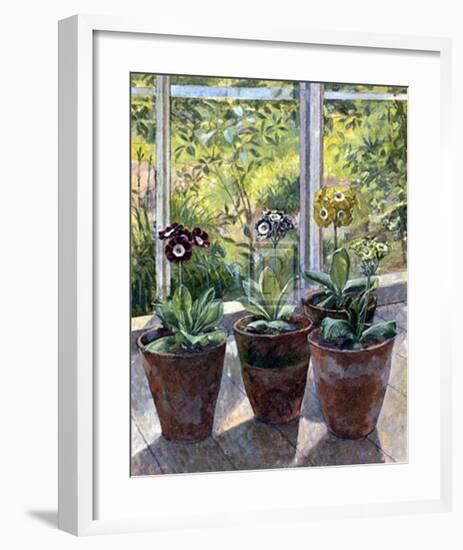 Four Pots of Auriculas-J Morley-Framed Art Print