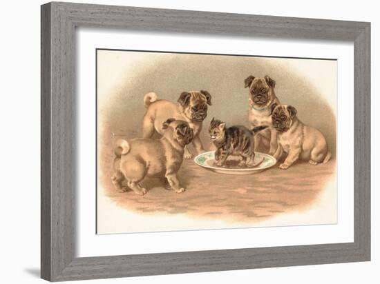 Four Pug Dogs Sitting around a Kitten on a Plate-English School-Framed Giclee Print