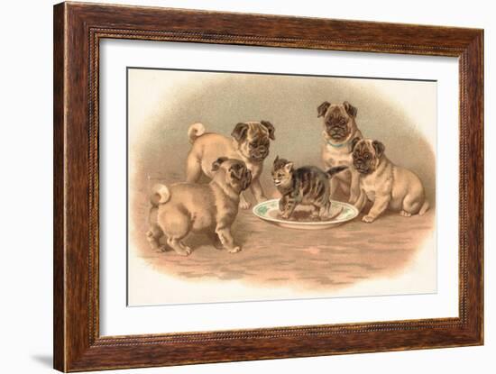 Four Pug Dogs Sitting around a Kitten on a Plate-English School-Framed Giclee Print