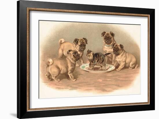 Four Pug Dogs Sitting around a Kitten on a Plate-English School-Framed Giclee Print