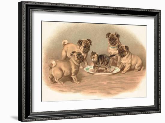 Four Pug Dogs Sitting around a Kitten on a Plate-English School-Framed Giclee Print