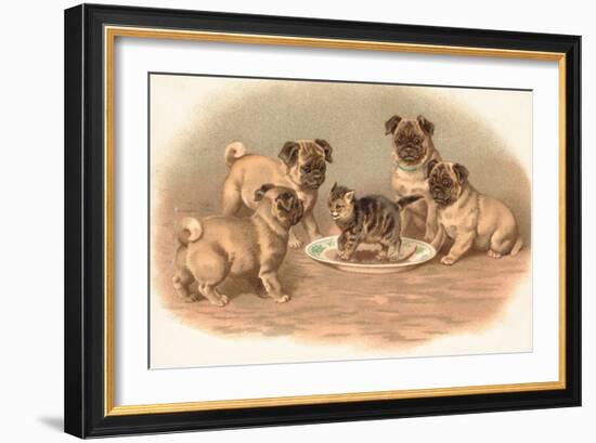 Four Pug Dogs Sitting around a Kitten on a Plate-English School-Framed Giclee Print