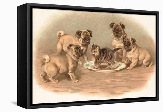 Four Pug Dogs Sitting around a Kitten on a Plate-English School-Framed Premier Image Canvas