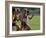 Four Racing Runners-null-Framed Photographic Print