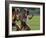 Four Racing Runners-null-Framed Photographic Print