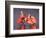 Four Roseate Spoonbills at Dawn, Ding Darling NWR, Sanibel Island, Florida, USA-Charles Sleicher-Framed Photographic Print