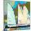 Four Sailboats-Beth A. Forst-Mounted Art Print