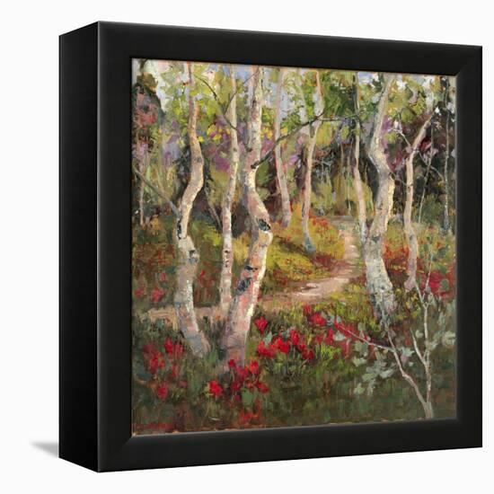 Four Seasons Aspens I-Nanette Oleson-Framed Stretched Canvas