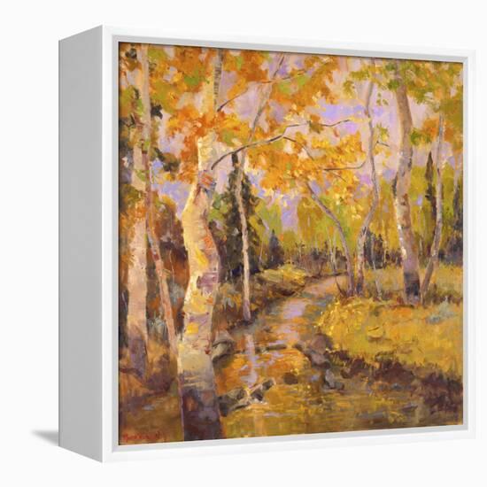 Four Seasons Aspens III-Nanette Oleson-Framed Stretched Canvas