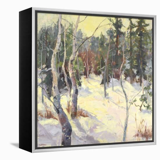 Four Seasons Aspens IV-Nanette Oleson-Framed Stretched Canvas