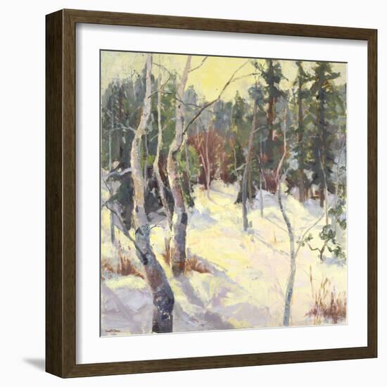 Four Seasons Aspens IV-Nanette Oleson-Framed Art Print