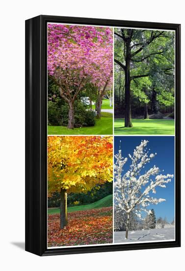 Four Seasons Collage: Spring, Summer, Autumn, Winter-Hannamariah-Framed Stretched Canvas