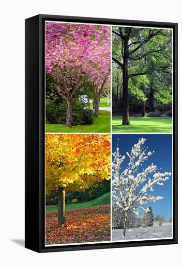 Four Seasons Collage: Spring, Summer, Autumn, Winter-Hannamariah-Framed Stretched Canvas