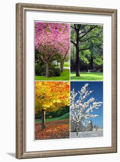 Four Seasons Collage: Spring, Summer, Autumn, Winter-Hannamariah-Framed Art Print