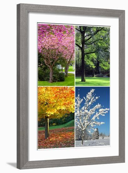 Four Seasons Collage: Spring, Summer, Autumn, Winter-Hannamariah-Framed Art Print