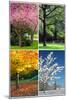 Four Seasons Collage: Spring, Summer, Autumn, Winter-Hannamariah-Mounted Art Print