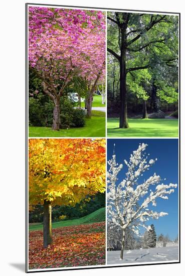 Four Seasons Collage: Spring, Summer, Autumn, Winter-Hannamariah-Mounted Art Print