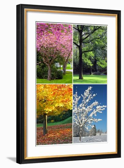 Four Seasons Collage: Spring, Summer, Autumn, Winter-Hannamariah-Framed Art Print