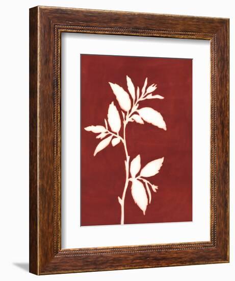 Four Seasons Foliage III-Megan Meagher-Framed Art Print