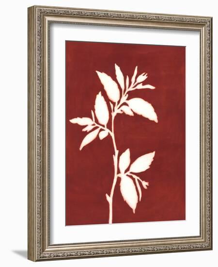 Four Seasons Foliage III-Megan Meagher-Framed Art Print