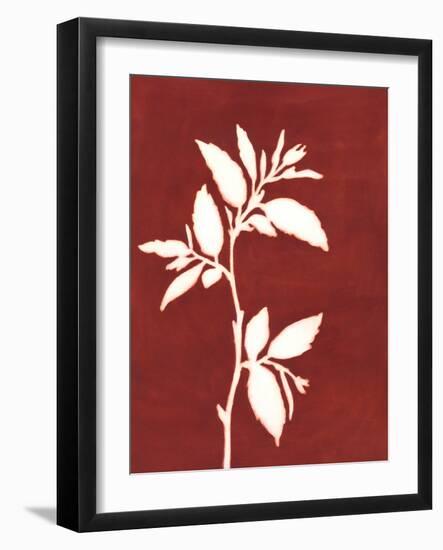 Four Seasons Foliage III-Megan Meagher-Framed Art Print