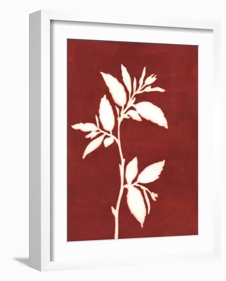 Four Seasons Foliage III-Megan Meagher-Framed Art Print