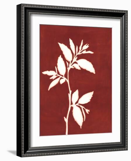 Four Seasons Foliage III-Megan Meagher-Framed Art Print