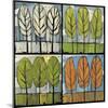 Four Seasons Tree Series Square-Tim Nyberg-Mounted Premium Giclee Print