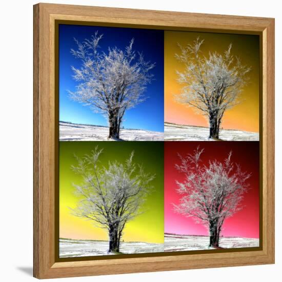 Four Seasons-Philippe Sainte-Laudy-Framed Premier Image Canvas