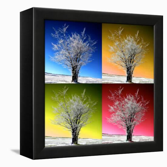 Four Seasons-Philippe Sainte-Laudy-Framed Premier Image Canvas