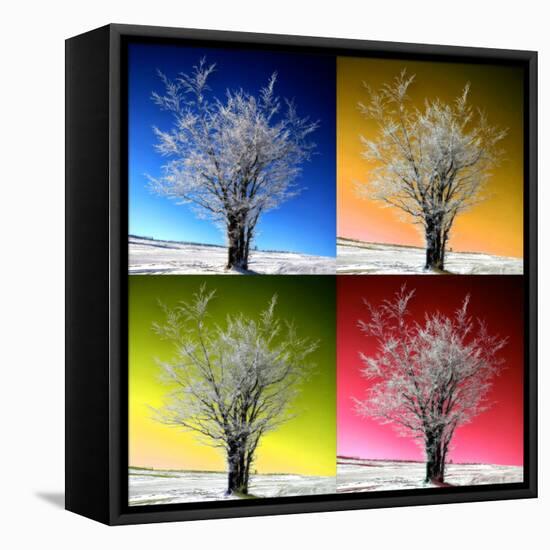 Four Seasons-Philippe Sainte-Laudy-Framed Premier Image Canvas