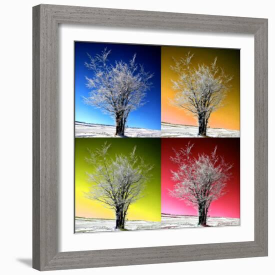 Four Seasons-Philippe Sainte-Laudy-Framed Photographic Print