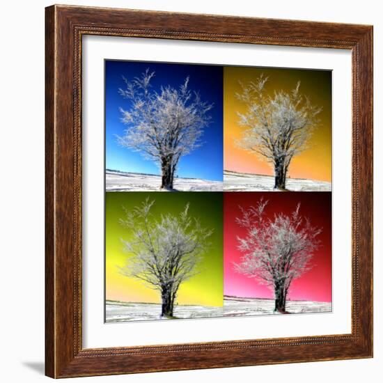 Four Seasons-Philippe Sainte-Laudy-Framed Photographic Print