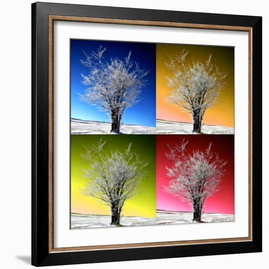 Four Seasons-Philippe Sainte-Laudy-Framed Photographic Print