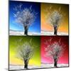 Four Seasons-Philippe Sainte-Laudy-Mounted Photographic Print