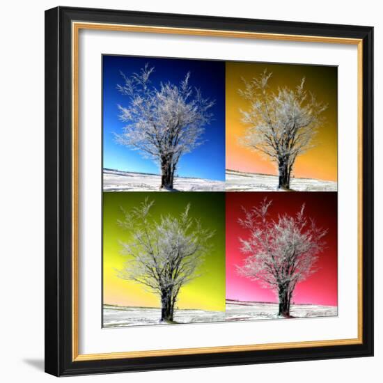 Four Seasons-Philippe Sainte-Laudy-Framed Photographic Print