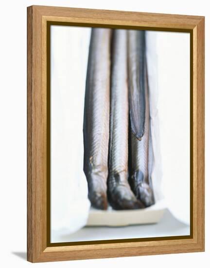 Four Smoked Eels in a Box-Peter Medilek-Framed Premier Image Canvas