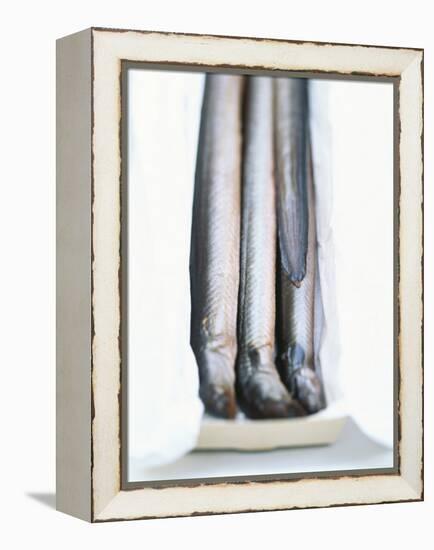 Four Smoked Eels in a Box-Peter Medilek-Framed Premier Image Canvas