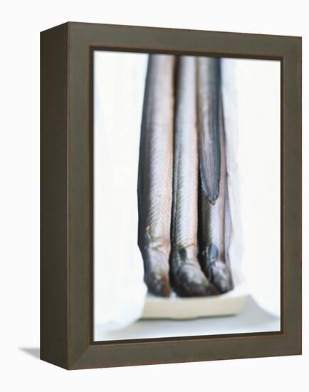 Four Smoked Eels in a Box-Peter Medilek-Framed Premier Image Canvas