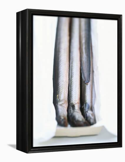 Four Smoked Eels in a Box-Peter Medilek-Framed Premier Image Canvas