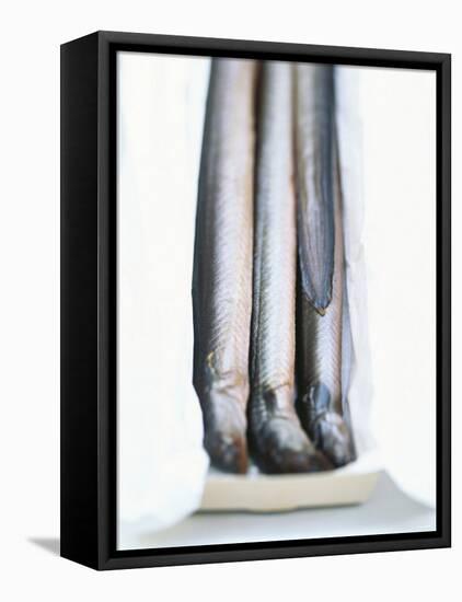 Four Smoked Eels in a Box-Peter Medilek-Framed Premier Image Canvas
