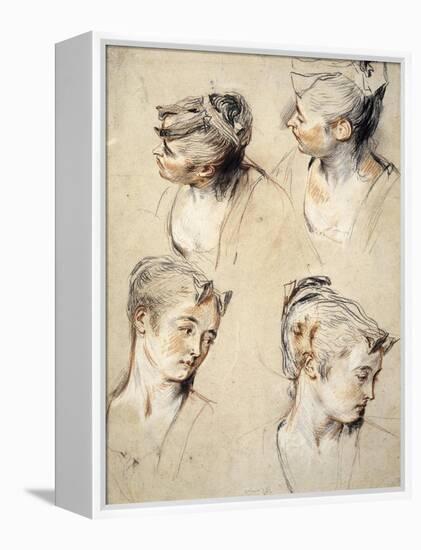 Four Studies of a Young Woman's Head-Antoine Watteau-Framed Stretched Canvas