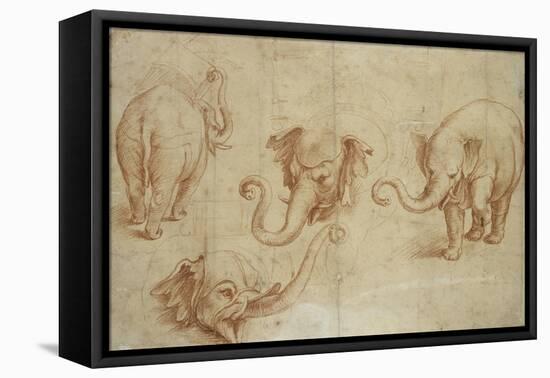 Four Studies of an Elephant-Giulio Romano-Framed Premier Image Canvas