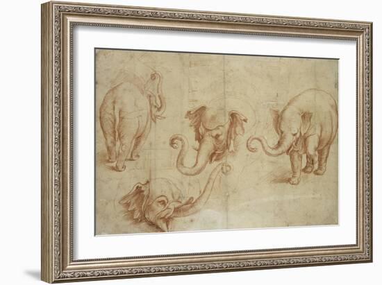 Four Studies of an Elephant-Giulio Romano-Framed Giclee Print