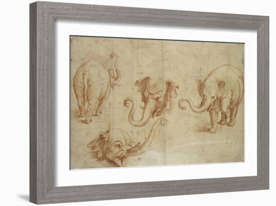 Four Studies of an Elephant-Giulio Romano-Framed Giclee Print