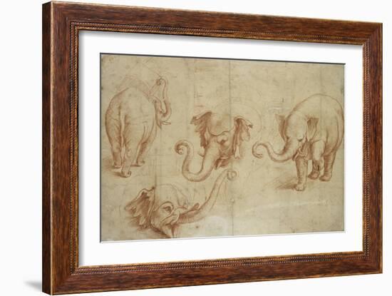 Four Studies of an Elephant-Giulio Romano-Framed Giclee Print